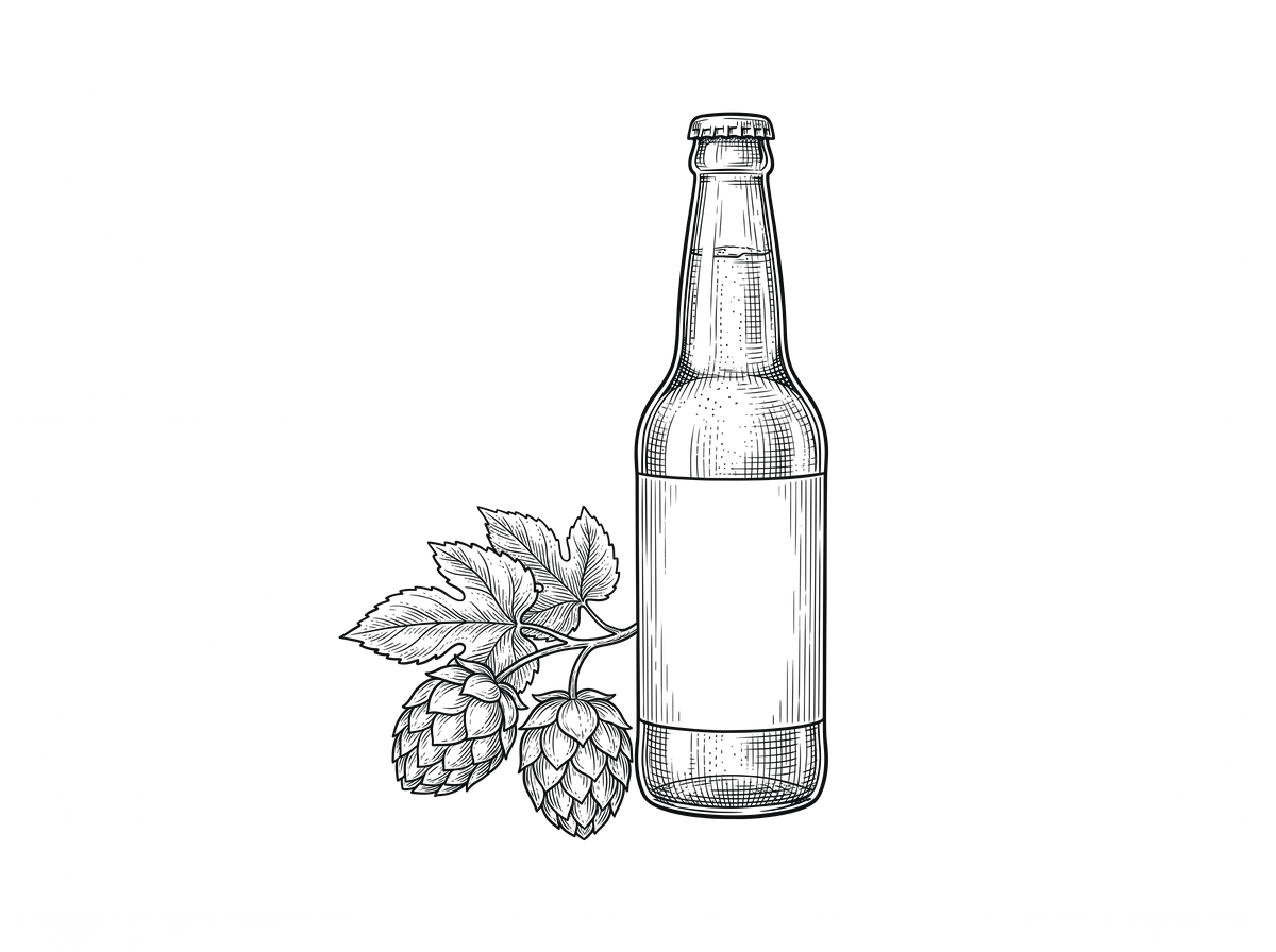 Engraving of a beer bottle beside hop cones.