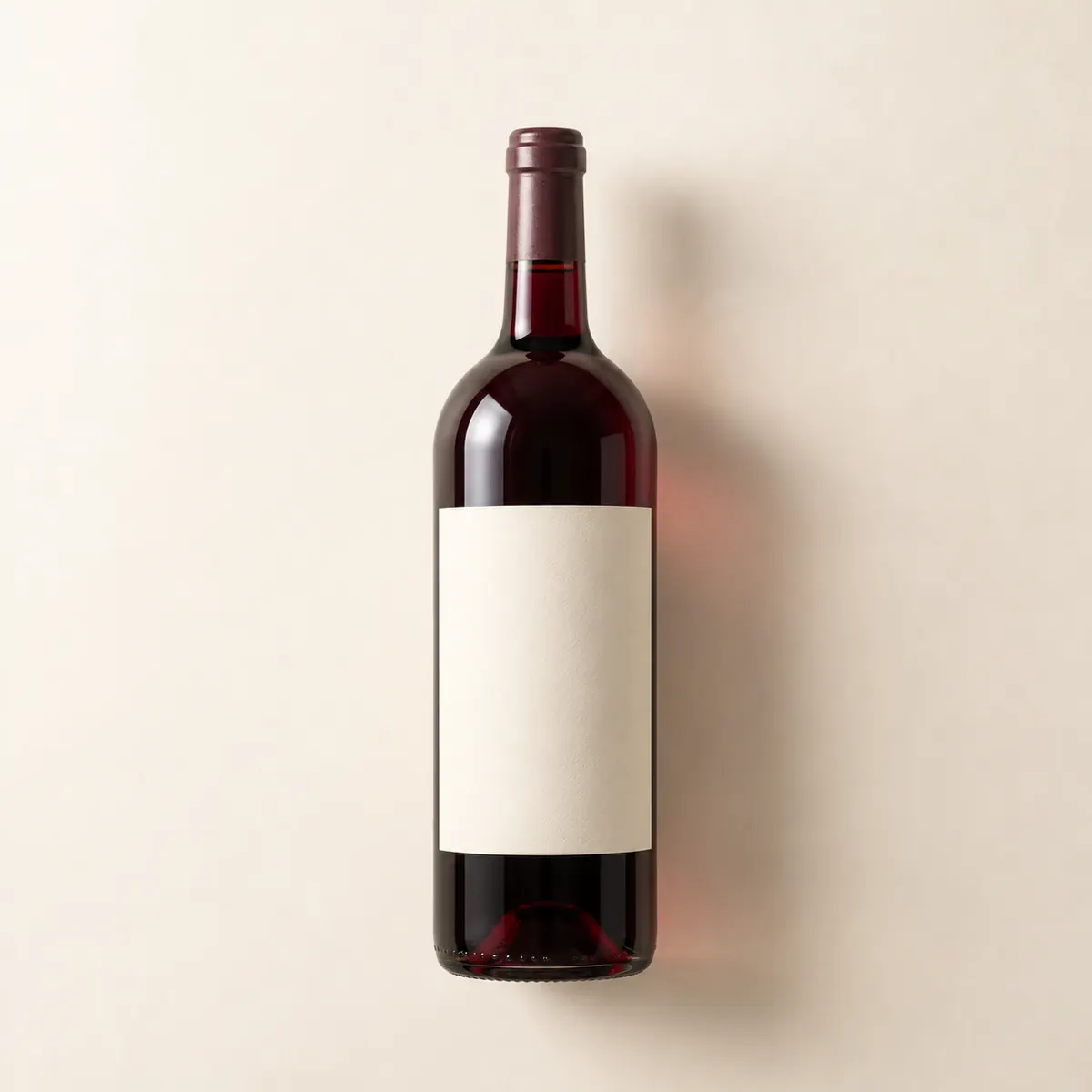 Saumur-Champigny 2022, magnum